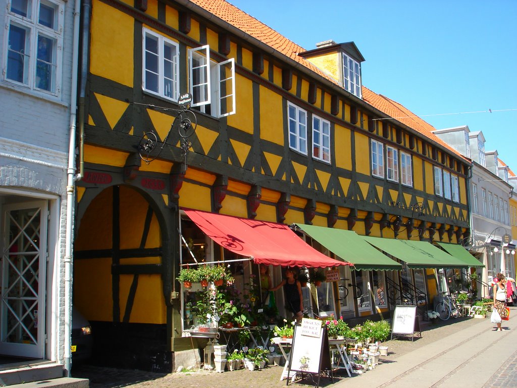 House from 1636 Køge by Robert Bekker