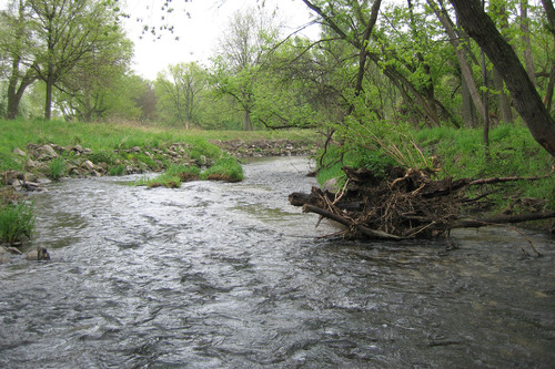 Mitchell County Park by Dale Roberson