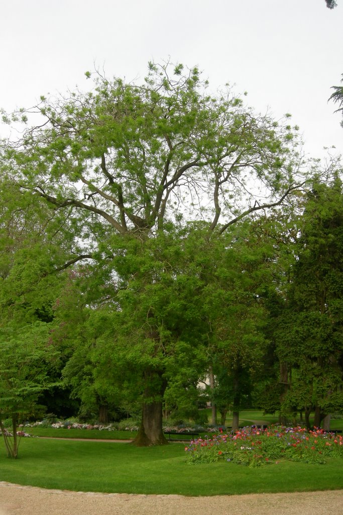 Jardin des Plantes by NicolasS