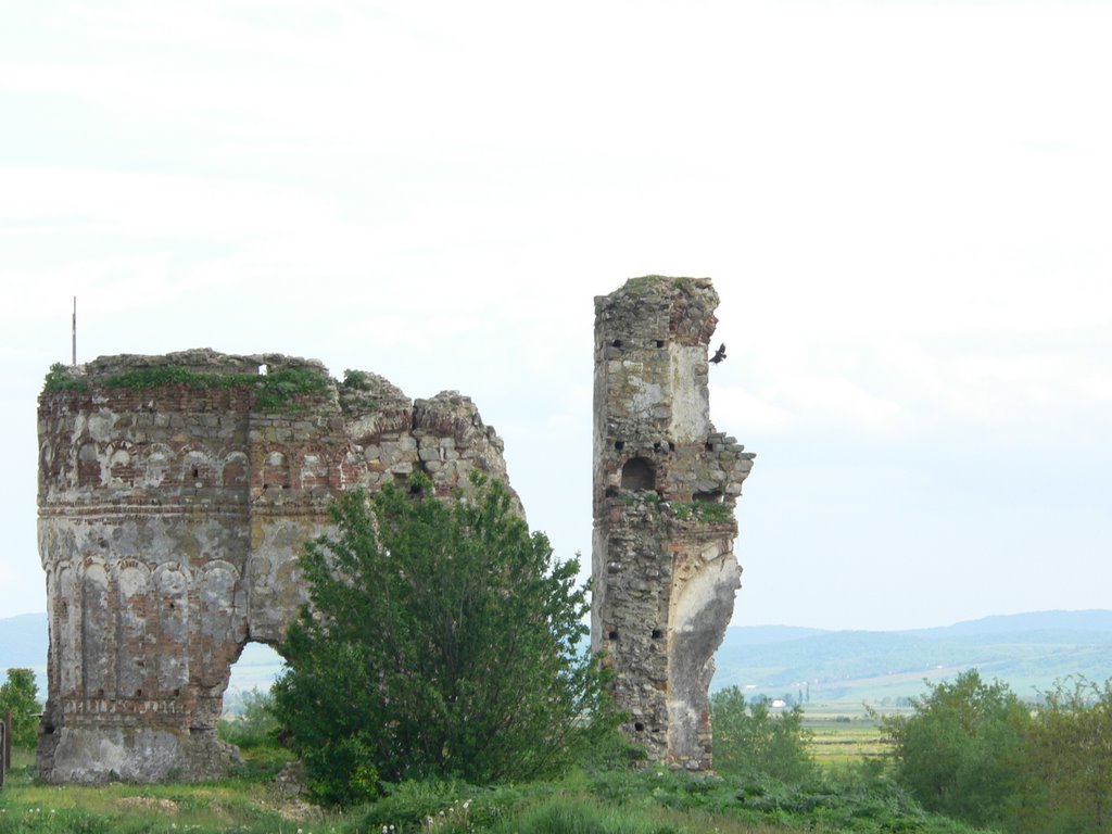 La Ruine - Bociulesti by Mircea Robu