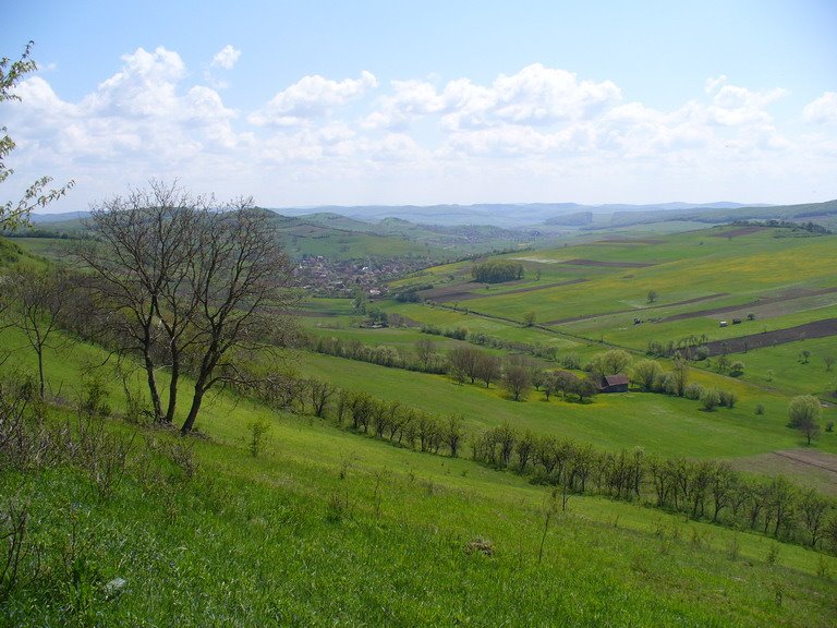 View of Mosuni near Beu-Szekelybo by jeffwarder