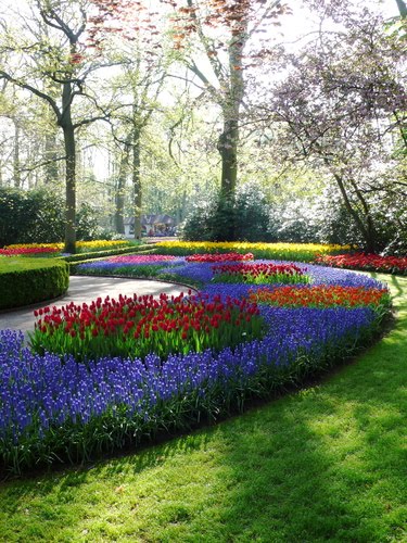 Keukenhof, Lisse by Vitum