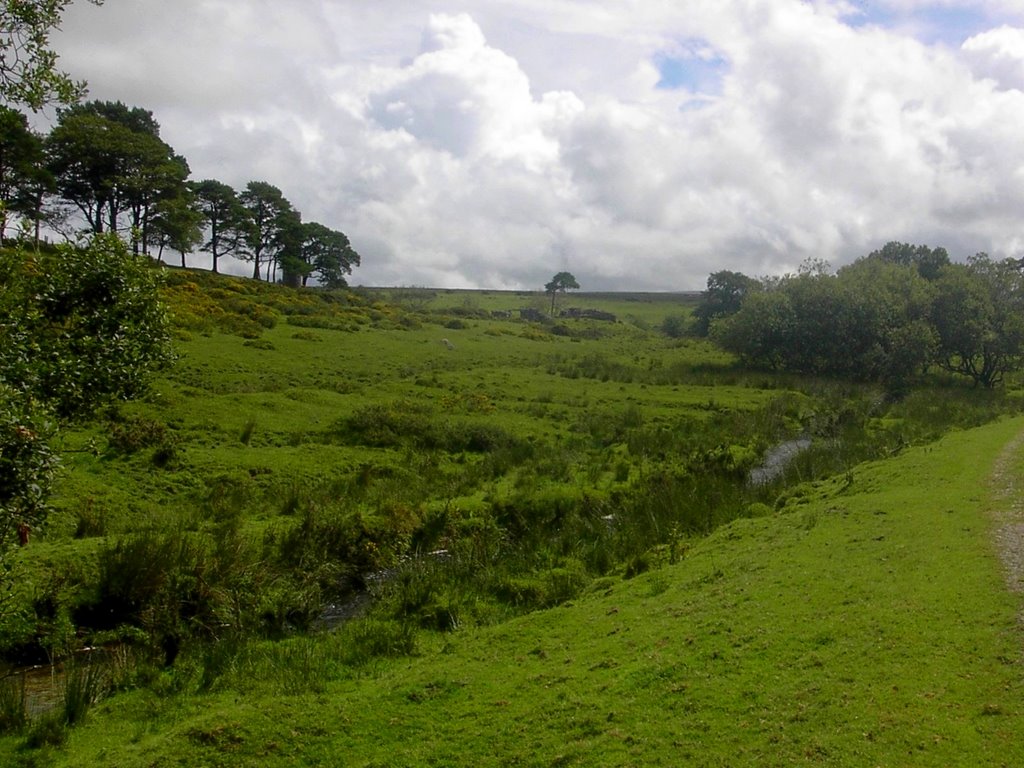 Cherry Brook next to Powdermills by RMLange