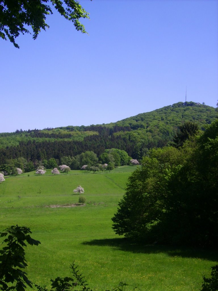 Siebengebirge by Andrei Meleschkin