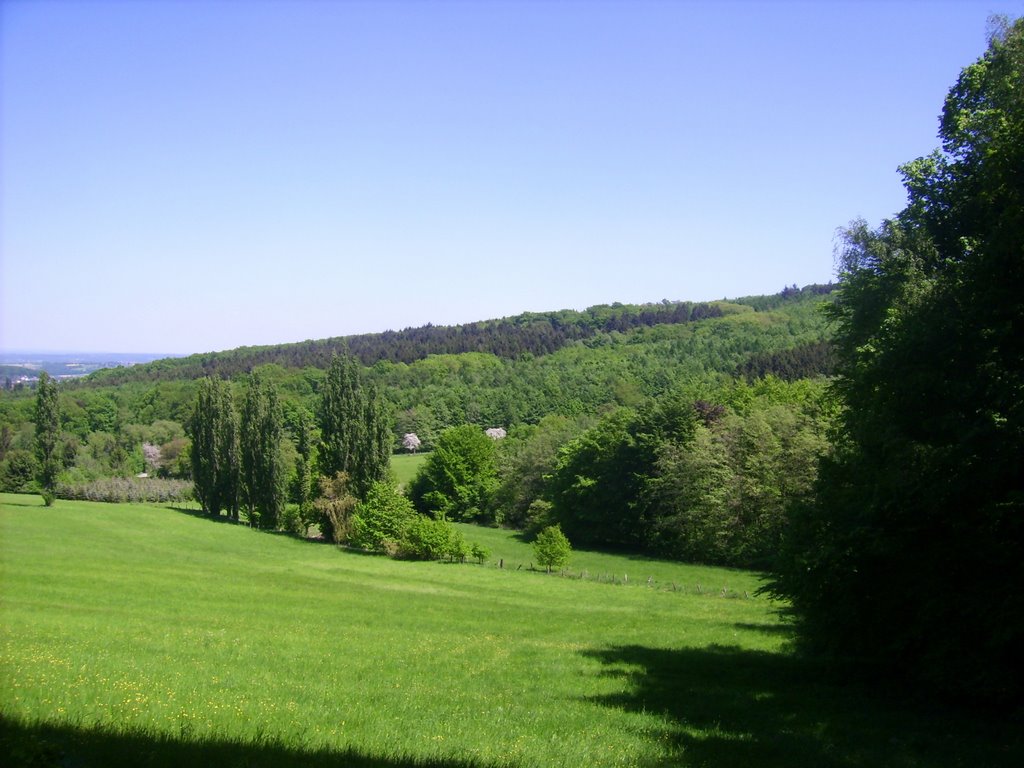 Siebengebirge by Andrei Meleschkin