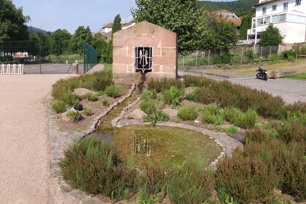 Allarmont, fontaine avec blason de Salm by Nidoo