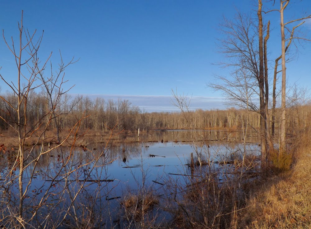 Potomac Creek, Stafford County, VA by r.w.dawson