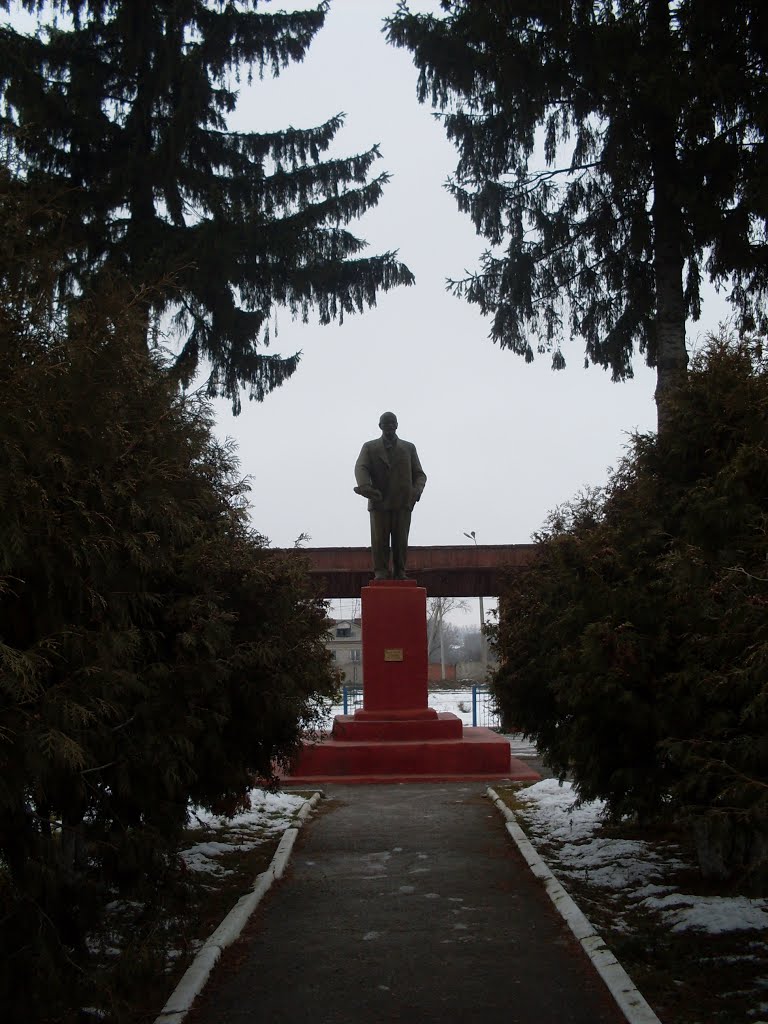 Monument to Lenin. stadium by sergoeverestov