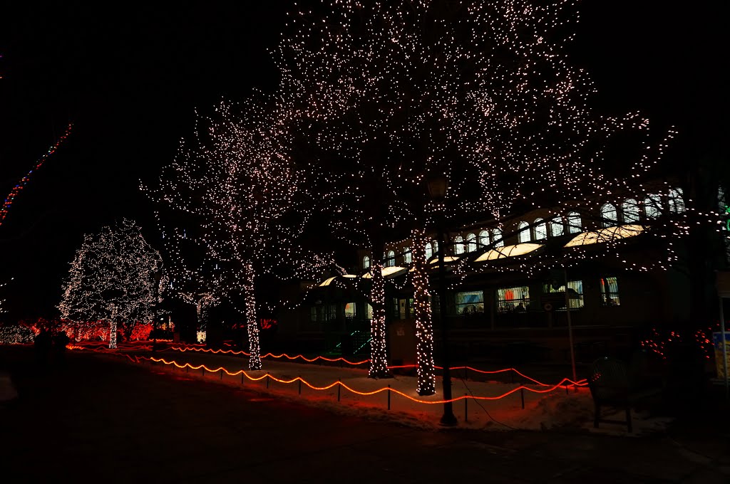 Toledo Zoo Lights by McSky