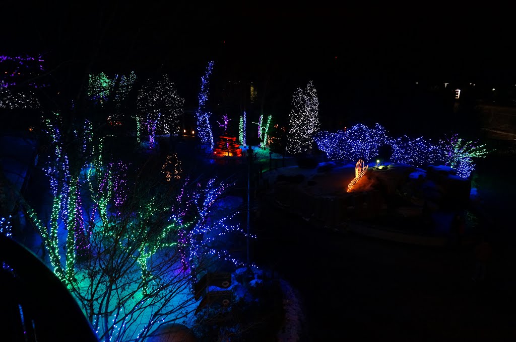 Toledo Zoo Lights by McSky