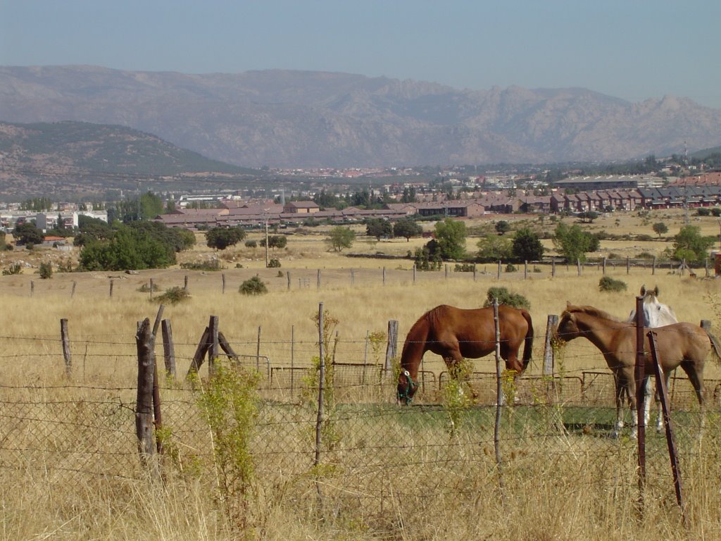 Vistas de la Pedriza desde La Ermita del Cerrillo by sburon