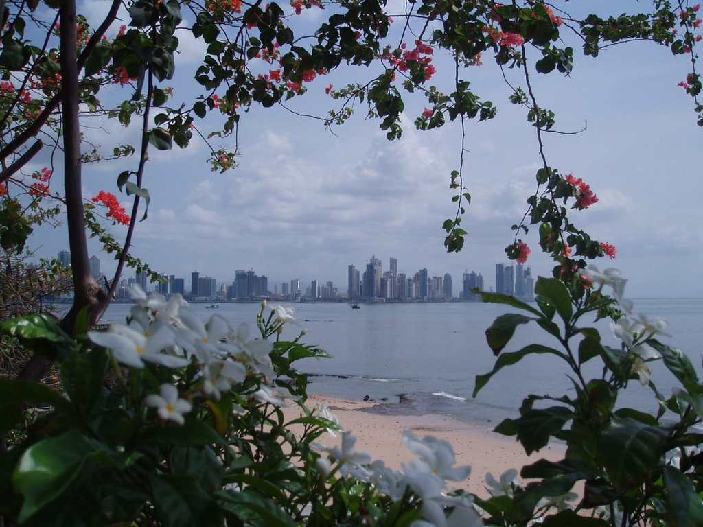 Ciudad de Panamá by Bejarano