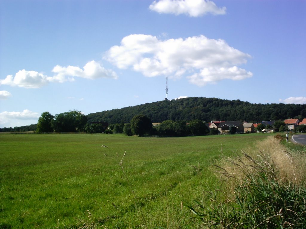 Blick zum Collm bei Oschatz by t.bellmann