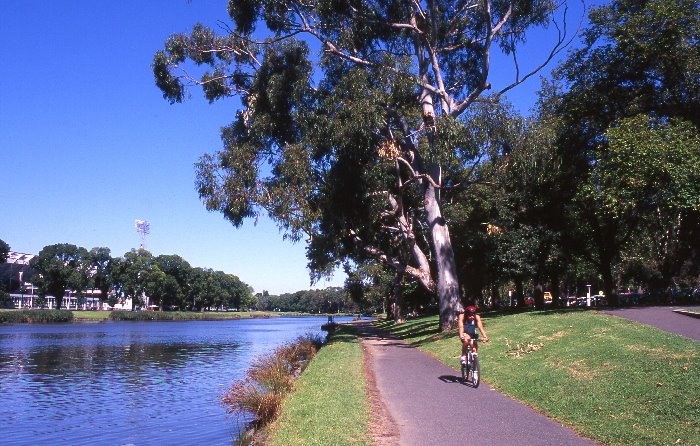 Along the Yarra by Douglas De Francesch…