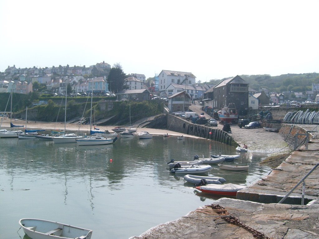 New quay wales by Lee Carey