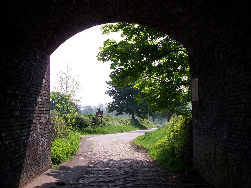 Mill Lane, Reddish Vale, from 'The Giants Moneybox' bridge. by GrahamC