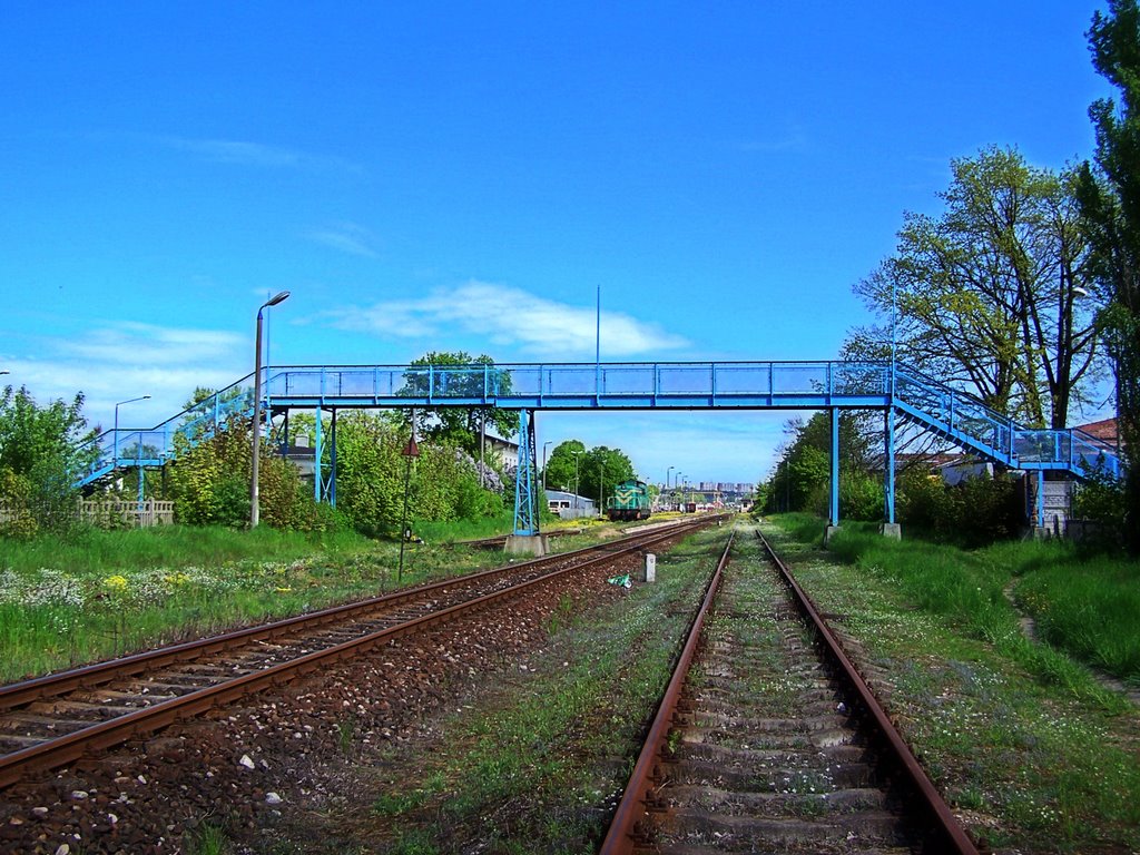 Grudziądz Mniszek by skalarsky