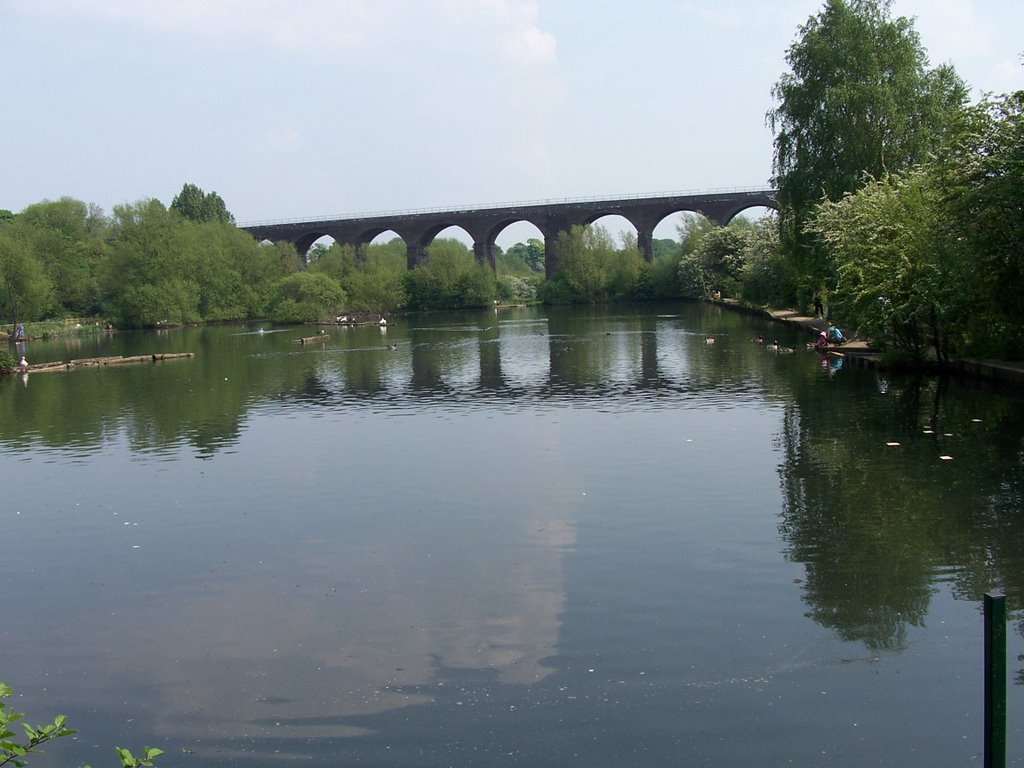 Mill Pond & Reddish Vale Viaduct by GrahamC