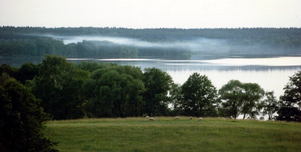 Lake dadaj: fog cames from the forest in the evening (1994) by arco_on_tour