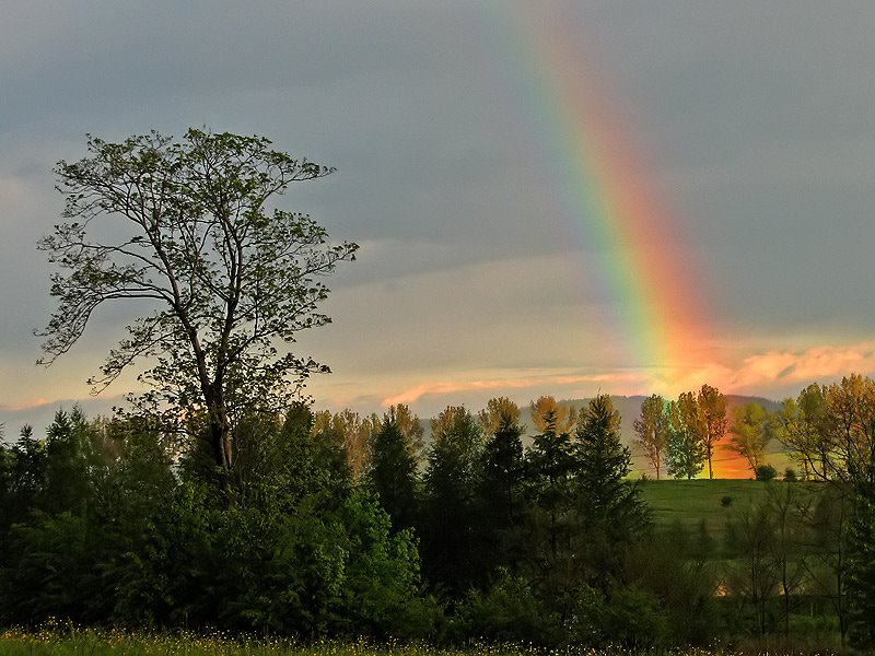 Rainbow by Piotr Cisek