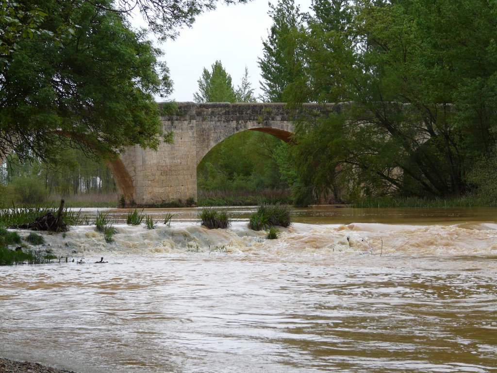 Puente sobre el rio pisuerga en lantadilla by aitanayduna