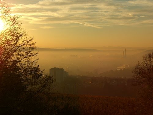 Ausblick vom Burgolzhof by stgtmann