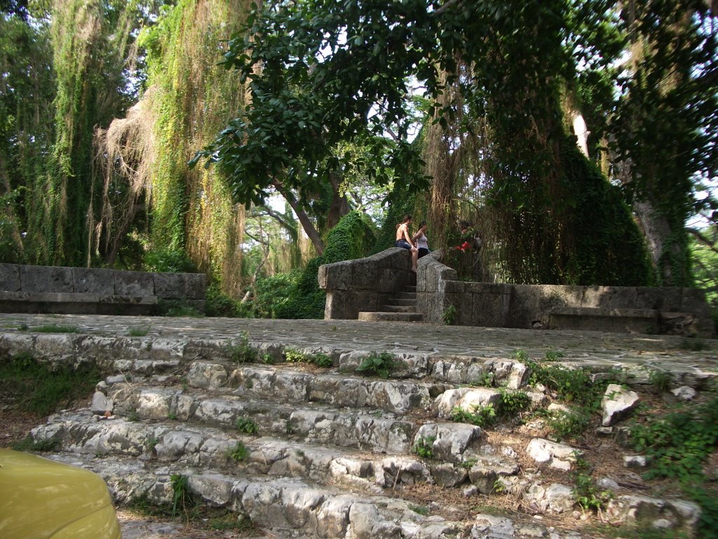 Ciudad de la Habana Cuba "Bosque de la Habana" by © xeima