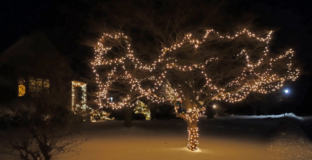 Christmas lights after a January snow fall. by neil.gilmour