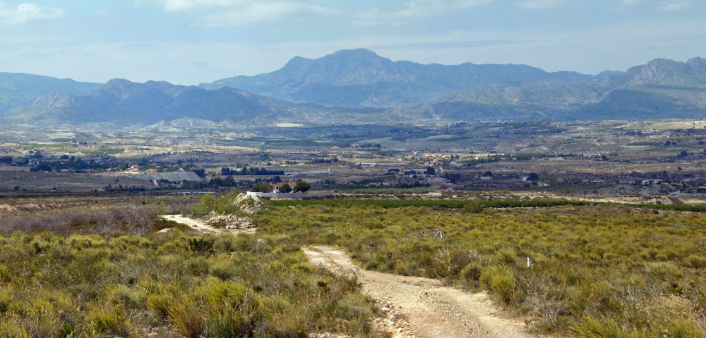 Sierra de la Pila. Subiendo a los Montes de Alcayna. by zinaztli