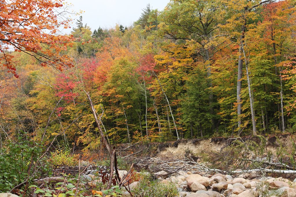 Mad River, Nr Highway 49, Waterville Valley by Bob Linsdell