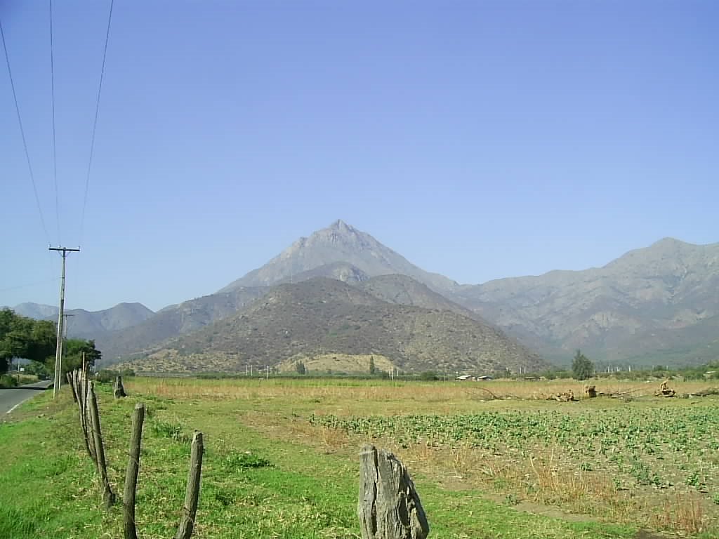 Ladera norte del cerro La Campana. by Gerald Foxon