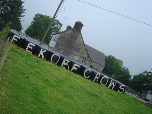 EVEN THE CROWS READ IN KERRY (spotted on the road outside Kilgarvan, Co Kerry) by Beirut Bill