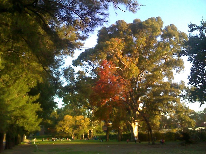 Otoño en la Agronomía by Szarlotka