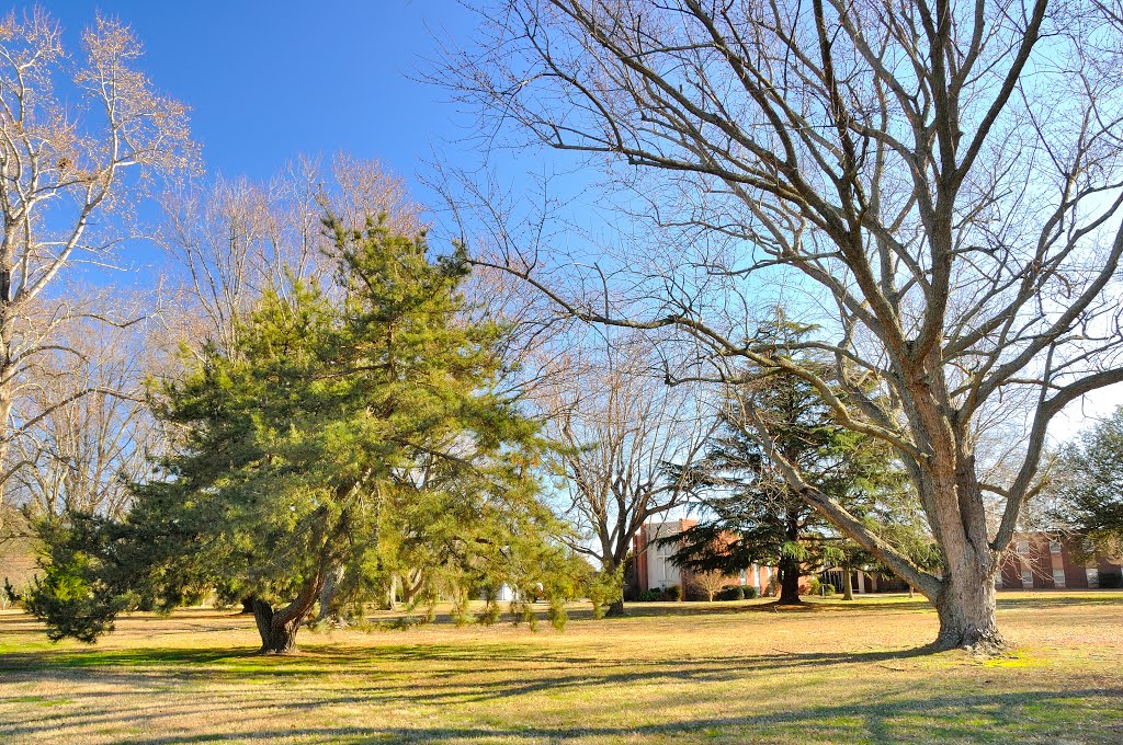 VIRGINIA: HAMPTON: HAMPTON UNIVERSITY: [formerly Holy Family Retreat, the Redemptorists (Roman Catholic)], 1414 North Mallory Street (S.R. 169) front campus by Douglas W. Reynolds, Jr.