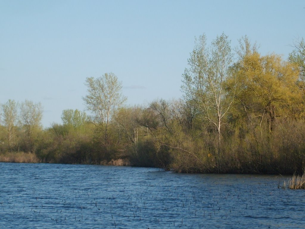 Battle Creek Lake, Woodbury MN by nkovac1