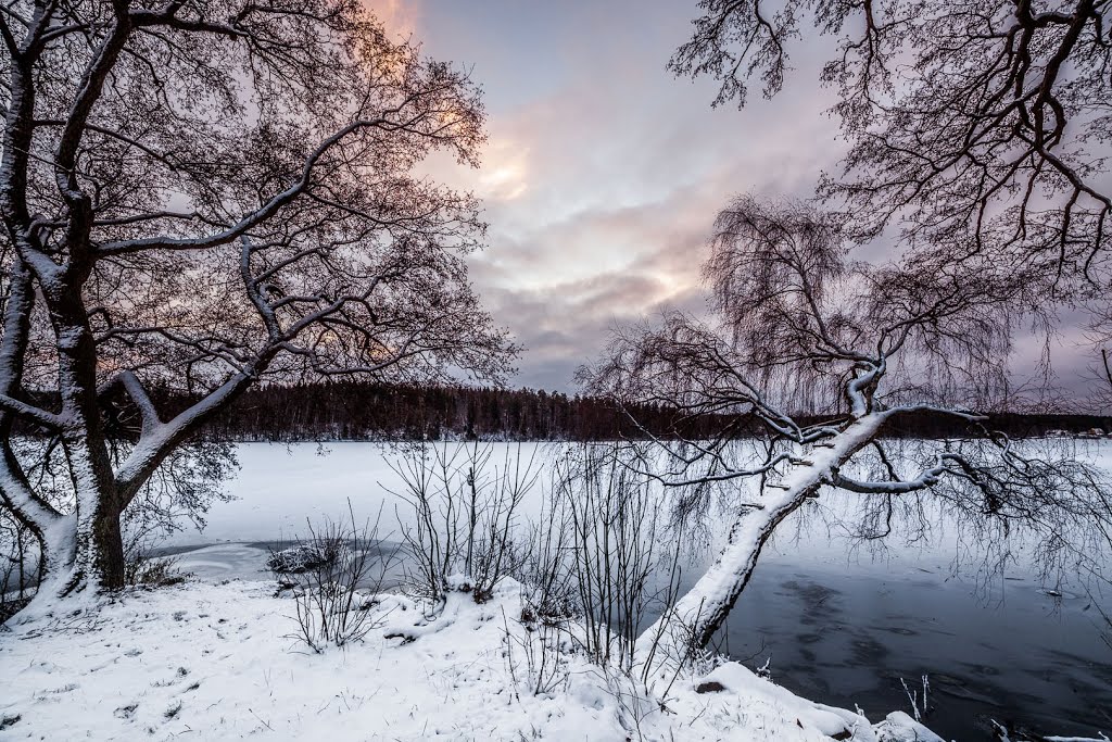 The first snow by Jani Westman