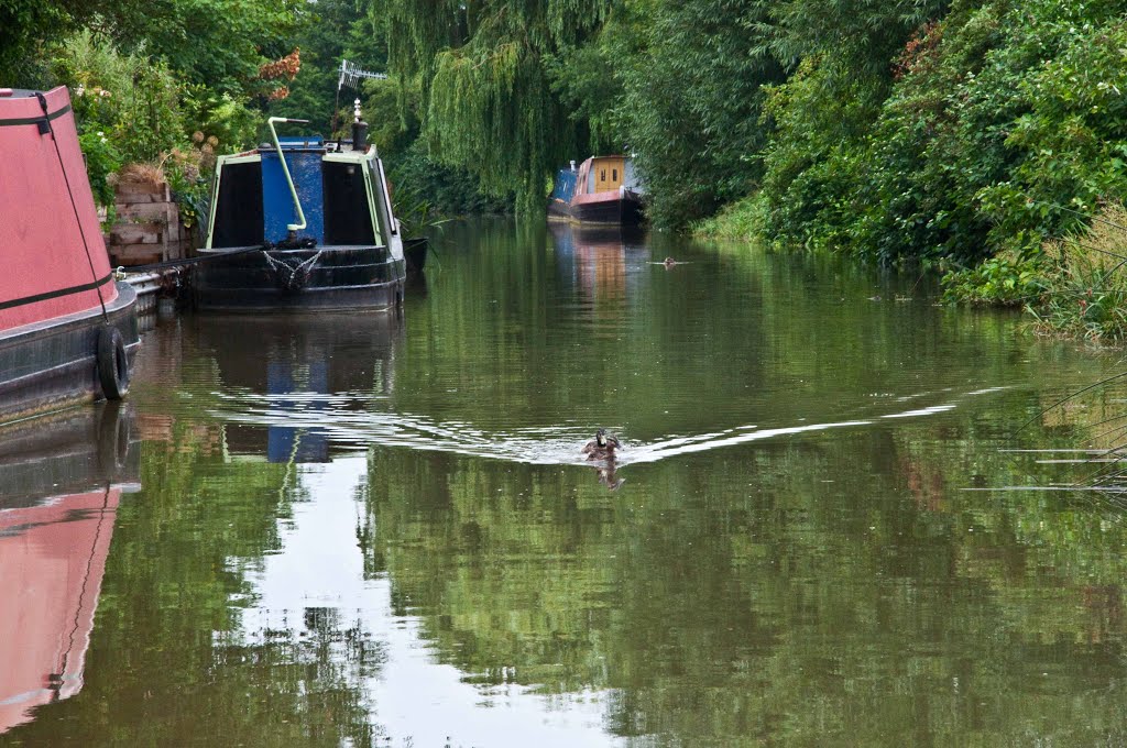 River Cherwell by Druella Ceville