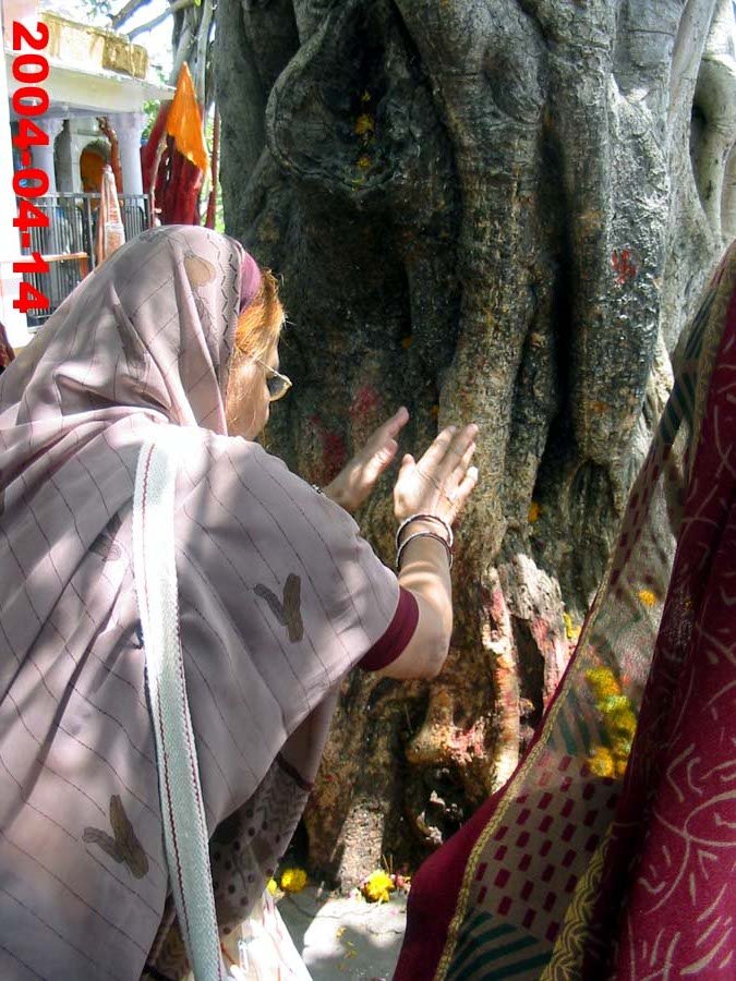 Touching the siddhavat by rdbansiya