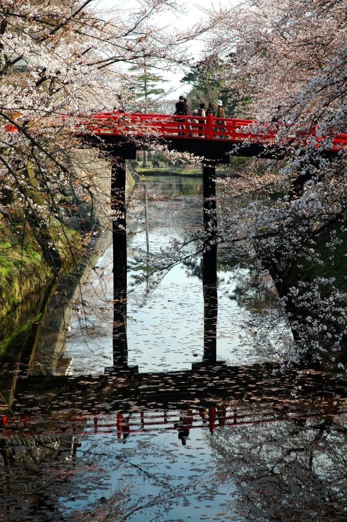 Hirosaki Castle　弘前城 by Y Iwamatsu