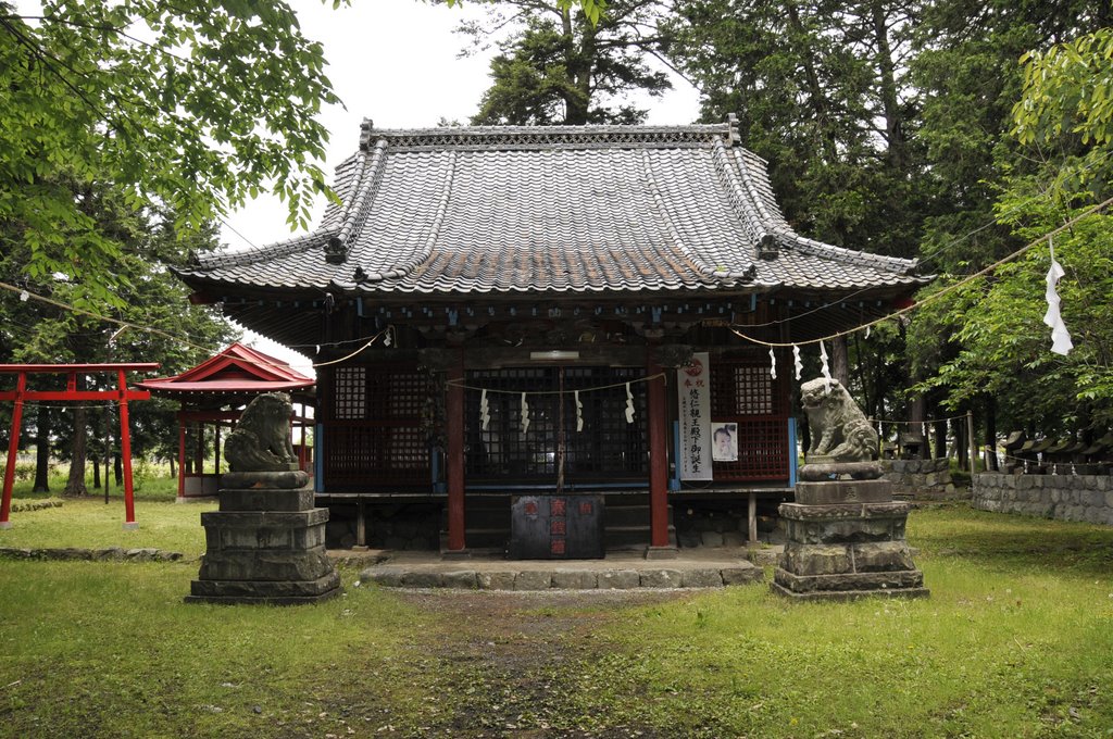 桃園神社THis is a momosono Shintoshrine The main shrine by mimensys