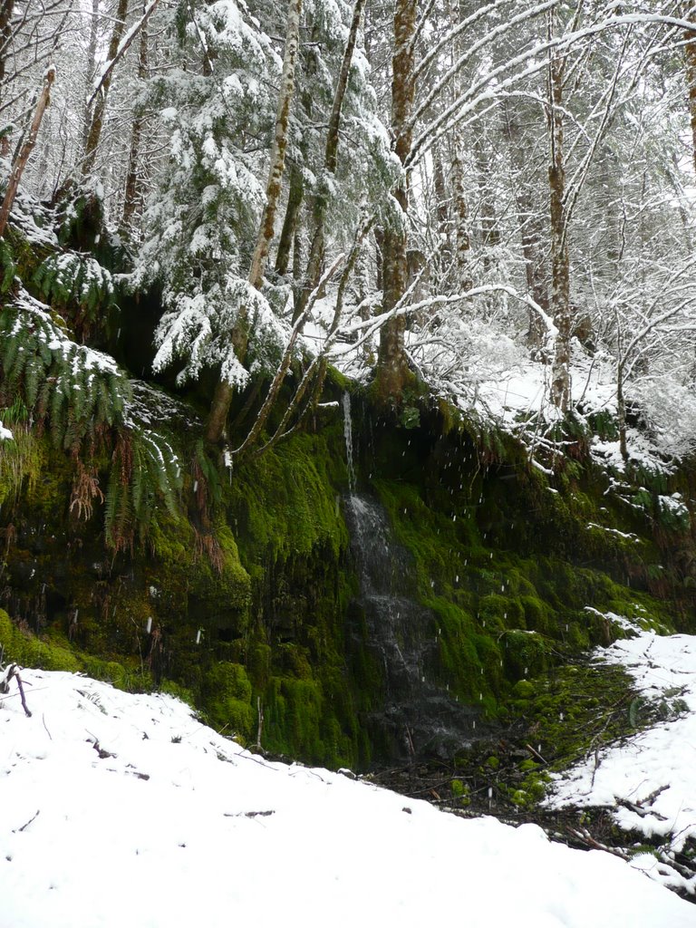 Moss and Snow by Jon N. Powell