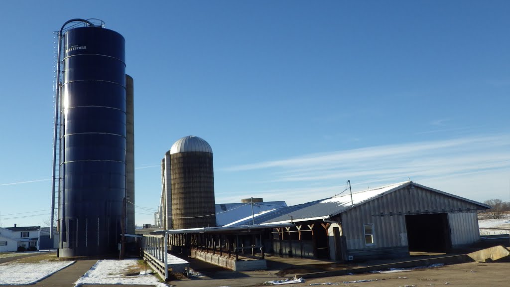 Silos, Barn and Out Buildings, Courtland, VA by Dan R. Mills