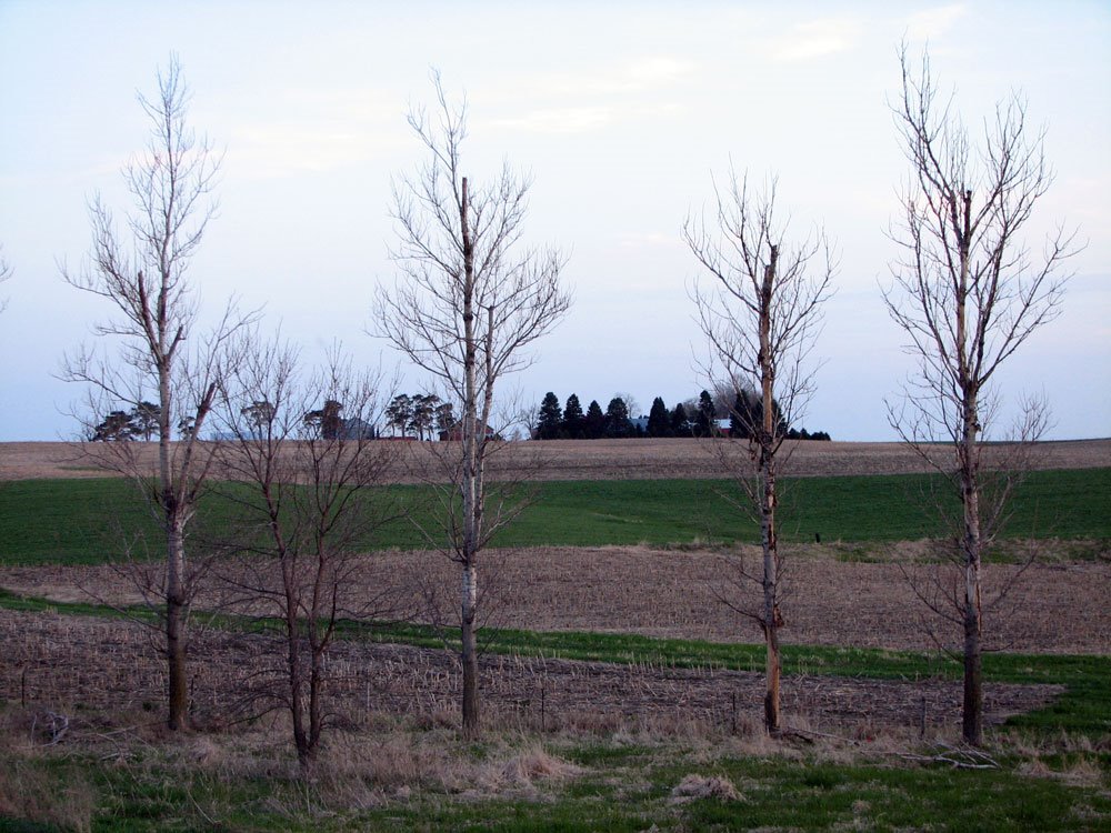 Layton, IA, USA by Mike Bond