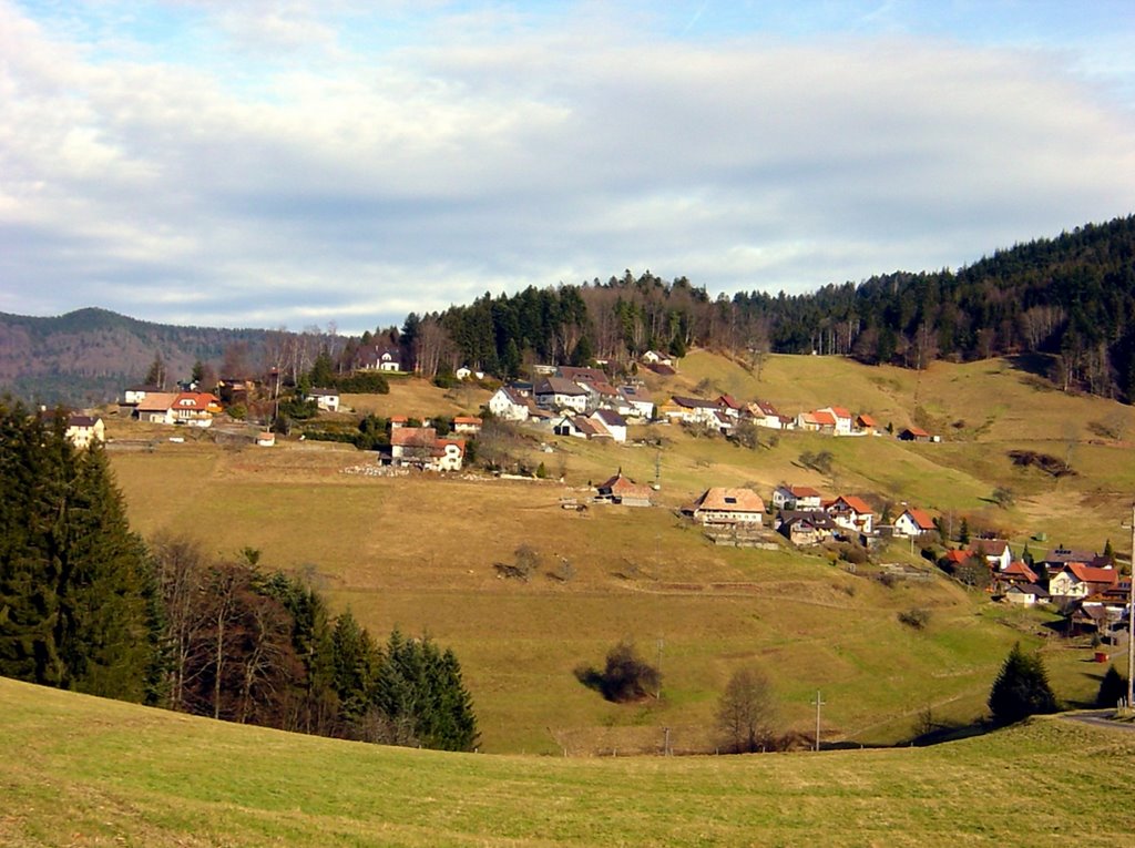 Beautiful Countryside: Kaltenbach by elago