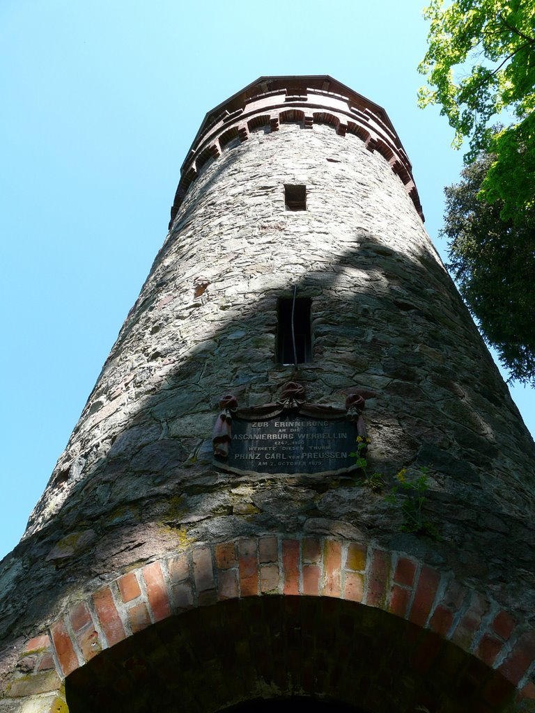 Ascanierturm by www.stephangrund.de