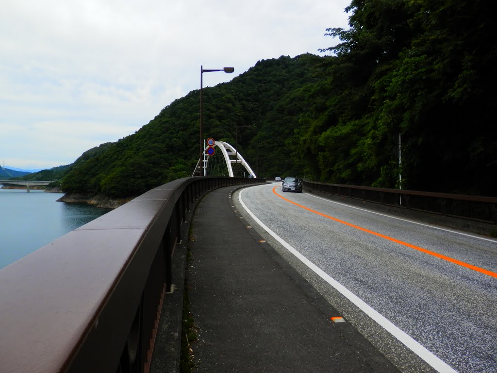 宮ヶ瀬レイクライン　Miyagase lake line by nigelsk8