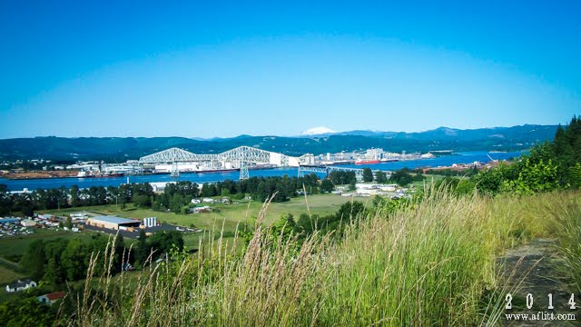 Old Viewpoint on Columbia River Highway (2011) by A. F. Litt