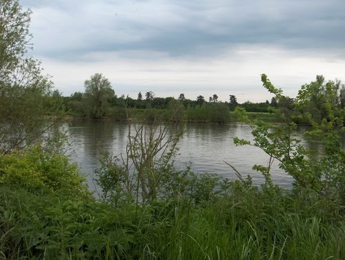 Berges de la Seine à la Roche Guyon by mariemanon