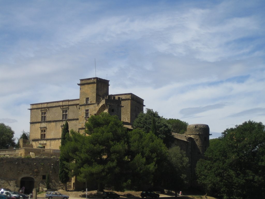 Chateau de Lourmarin by Knar