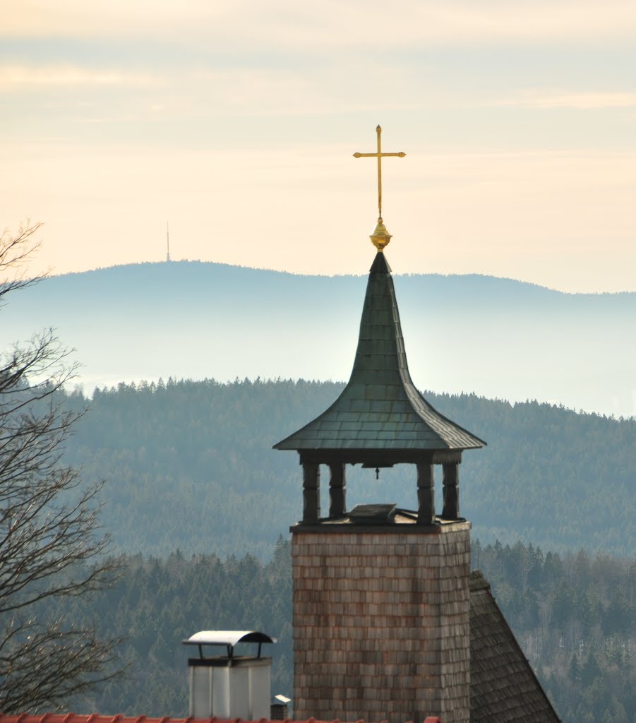 Waldhäuser - Kirchturmspitze St. Maria u Brotjacklriegel by roadrunner48